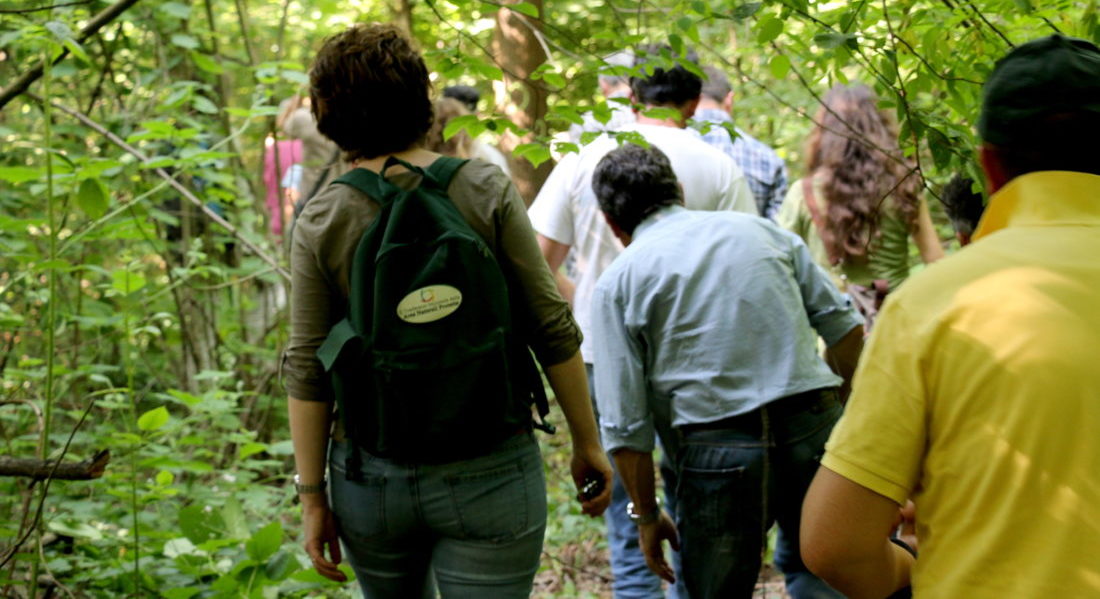 Piccoli proprietari e stakeholder camminano all’interno del bosco durante una giornata di consultazione